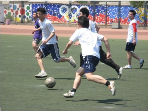 你需要我帮 你需要我帮