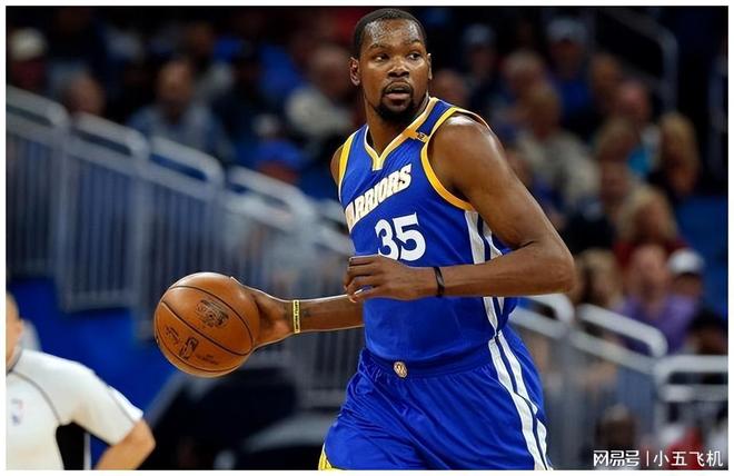 他们引进了 他们引进了